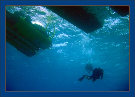 The Grand Cayman Islands Submarine Tour with the Bubble Sub goes BEYOND IMAGINATION