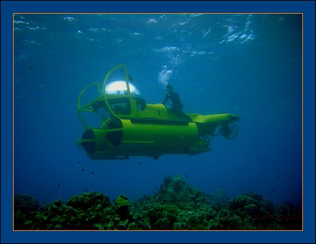 The Grand Cayman Islands Submarine Tour with the Bubble Sub goes BEYOND IMAGINATION