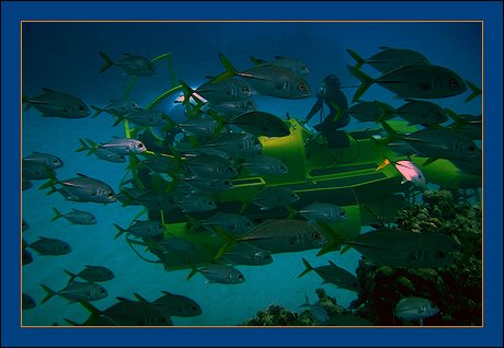 The ONLY 360 degree submarine in Grand Cayman - Cayman Islands - Digital photography Ray Bilcliff