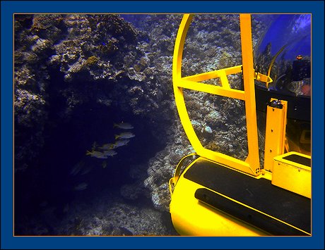 The Bubble Sub - Grand Cayman - Cayman Islands - BEYOND IMAGINATION - Digital photography Ray Bilcliff