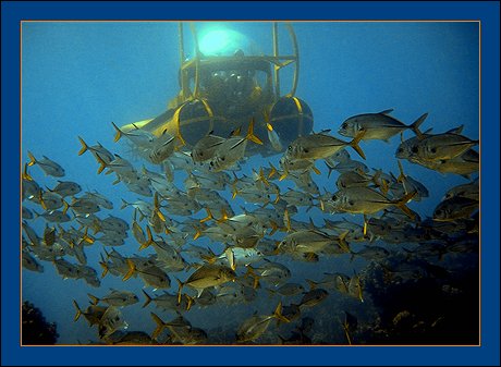 The ONLY 360 degree submarine in Grand Cayman - Cayman Islands - Digital photography Ray Bilcliff