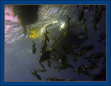 The ONLY 360 degree submarine in Grand Cayman - Cayman Islands - BEYOND IMAGINATION - Digital photography Ray Bilcliff