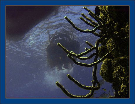 The Bubble Sub - Grand Cayman - Cayman Islands - BEYOND IMAGINATION - Digital photography Ray Bilcliff