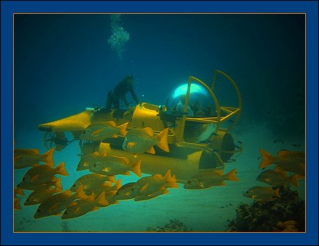 The Bubble Sub - Only in Grand Cayman - Cayman Islands - BEYOND IMAGINATION
