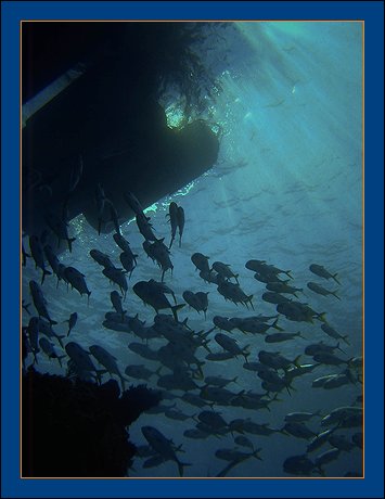 The Bubble Sub - The ONLY 360 degree submarine in Grand Cayman - Cayman Islands - BEYOND IMAGINATION - photographs by Ray Bilcliff